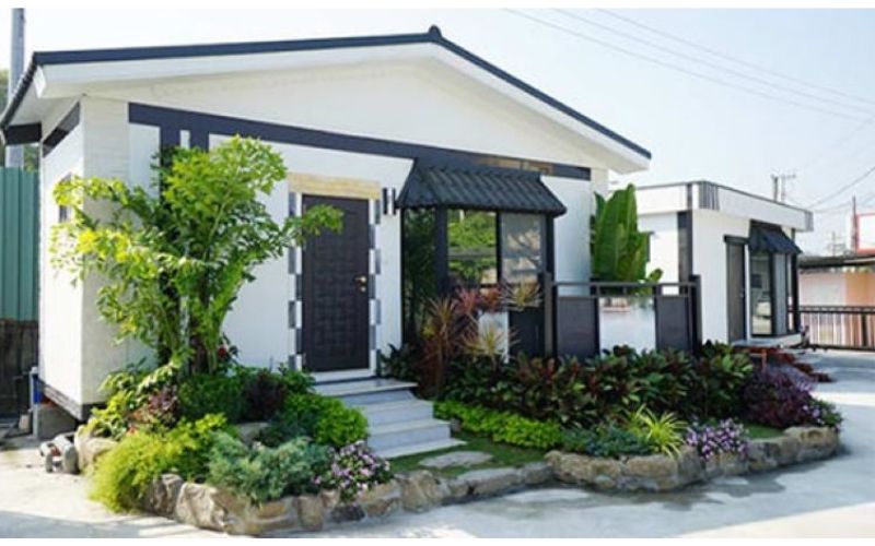 cay-phong-thuy-truoc-nha