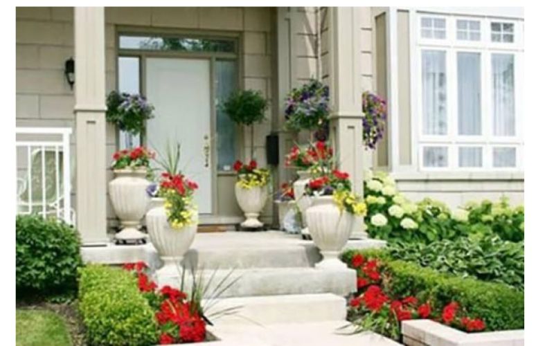 Sắp xếp cây theo thế cân bằng