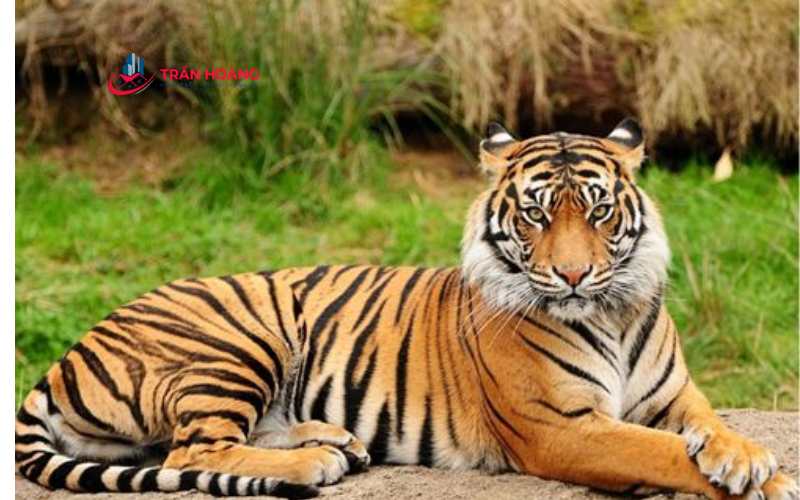 Nguyên tắc của việc xem tuổi làm nhà năm 2025