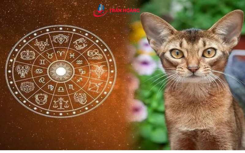 Phong thủy cho người tuổi Mão