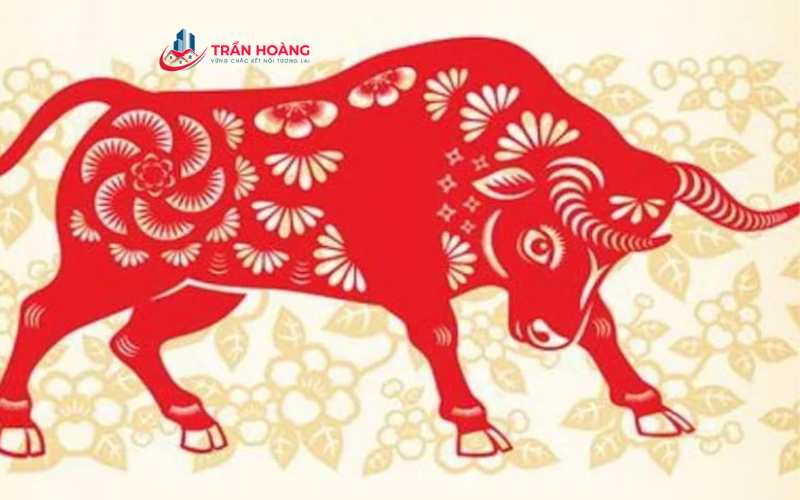 Phong thủy cho người tuổi Sửu