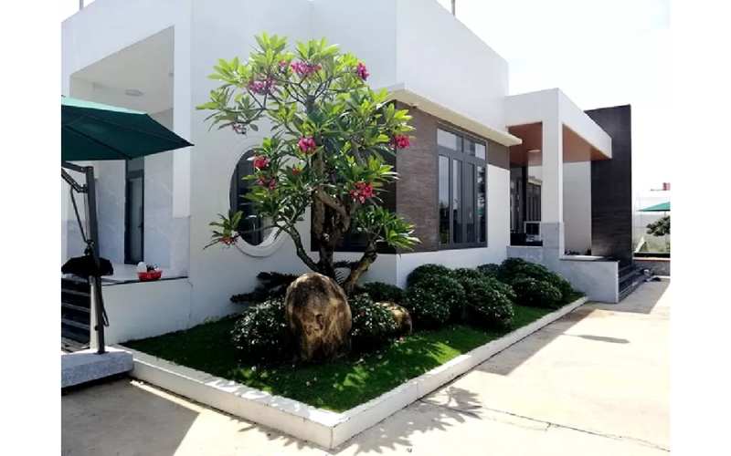 Lưu ý khi lựa chọn cây trồng trước nhà để tránh xui xẻo